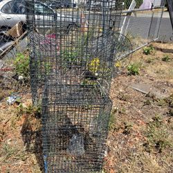 Shrimp Pots