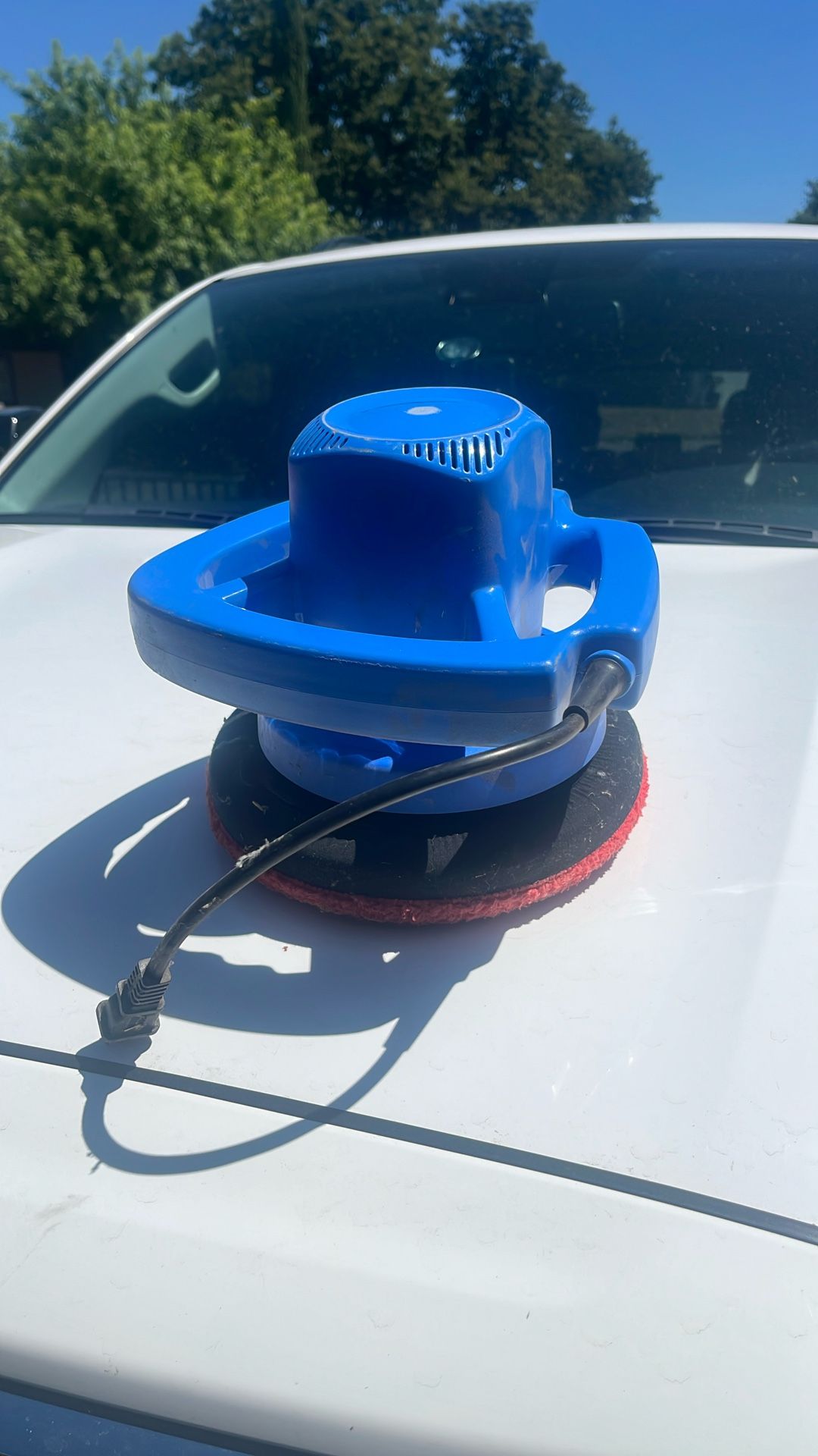 Turtle Polisher