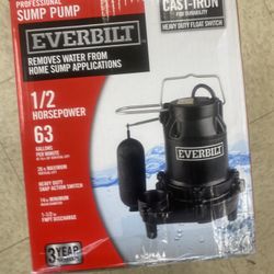 Everbilt Professional Dump Pump 
