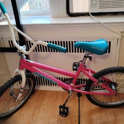 Kids bike with 19" wheels