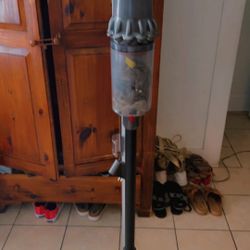 Vacuum (Dyson SV11)