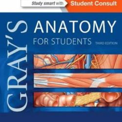 Gray's Anatomy for Students: With Student Consult and Beginner
