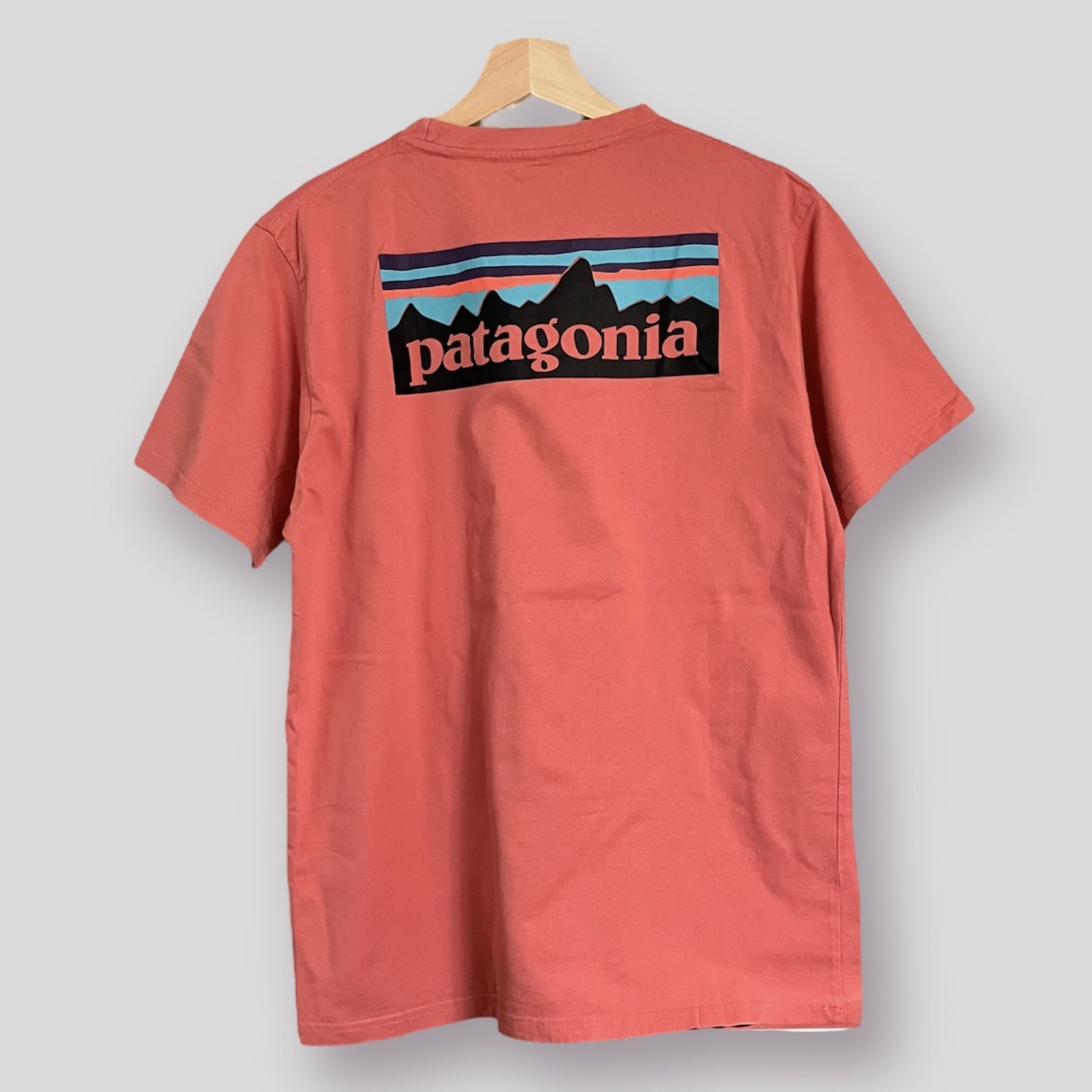 PATAGONIA TEE FITS SIZE MEDIUM