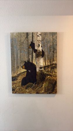 Bear picture