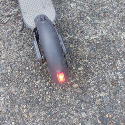 Electric Scooter 