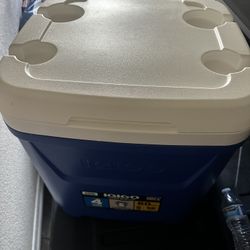 Igloo Cooler