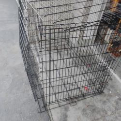 Dog Kennel🐕‍🦺🦴🐾 