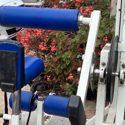 pro gym equipment 250 pounds 
