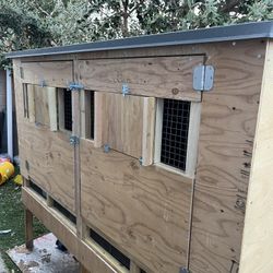 Double Kitbox For Pigeon 