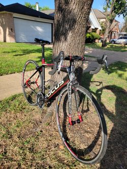 Focus Cayo 4.0 Carbon Road Bicycle