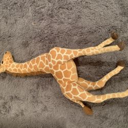 Giraffe 