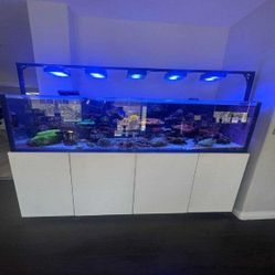 High-Quality Aquarium System - Premium Standard Choice today hand