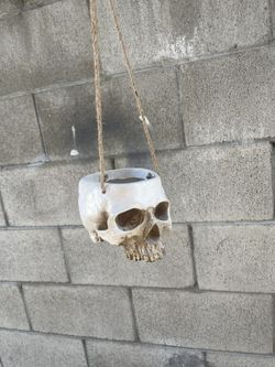 Halloween Hanging Skull Planter