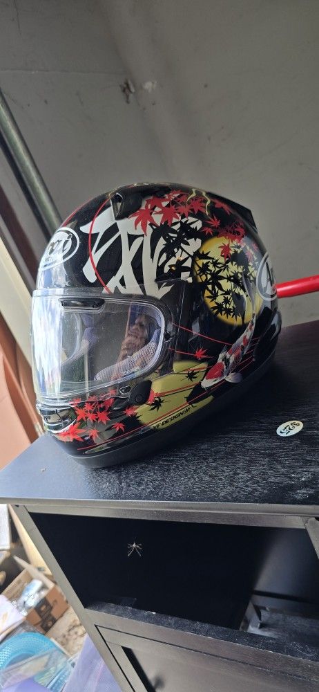 Arai Helmet