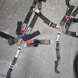 Crow Harnesses