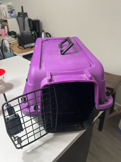 Purple Pet Travel Carrier