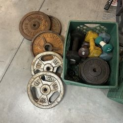 Weights 