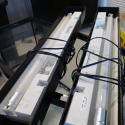 lights for fish tank 