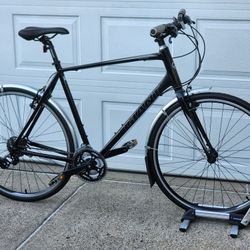 700c Giant Escape XL Frame 