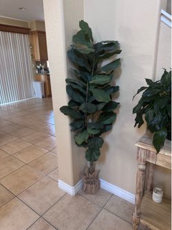 5ft+ faux plant
