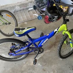 Schwinn Scheme Bike for 10 Year old 20 Inch tires