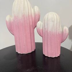 Cactus - Cowgirl theme. 