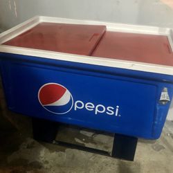 Hieleras Grandes $$$$$