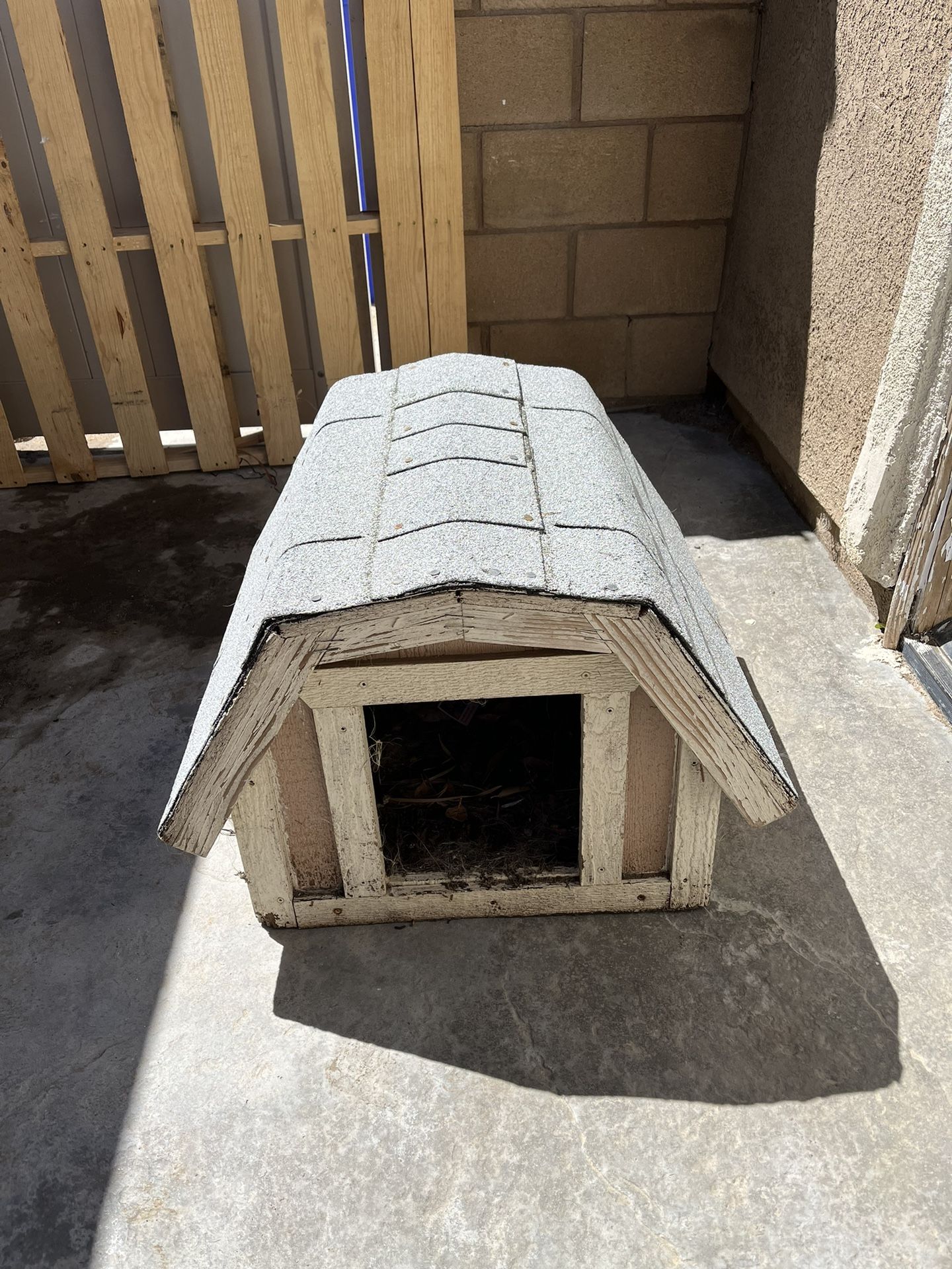 Dog House 