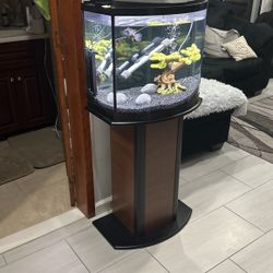 16 Gallon Bow Front With Stand