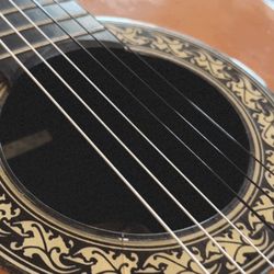 PROFESSIONAL GUITAR SETUP FREE