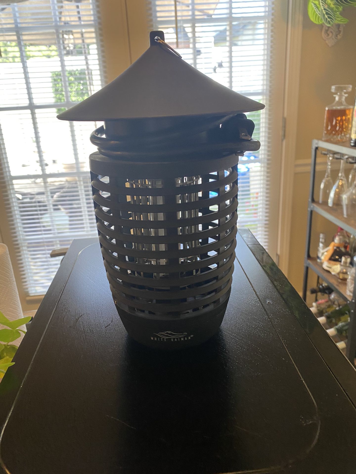 Buzz Zapper