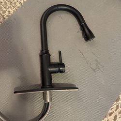 The Black Kitchen Sink Faucet Pull Down 