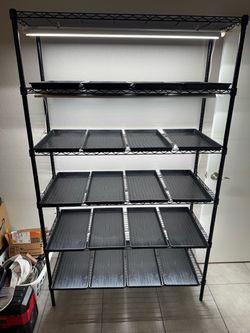 Microgreens grow racks, lights, and trays etc