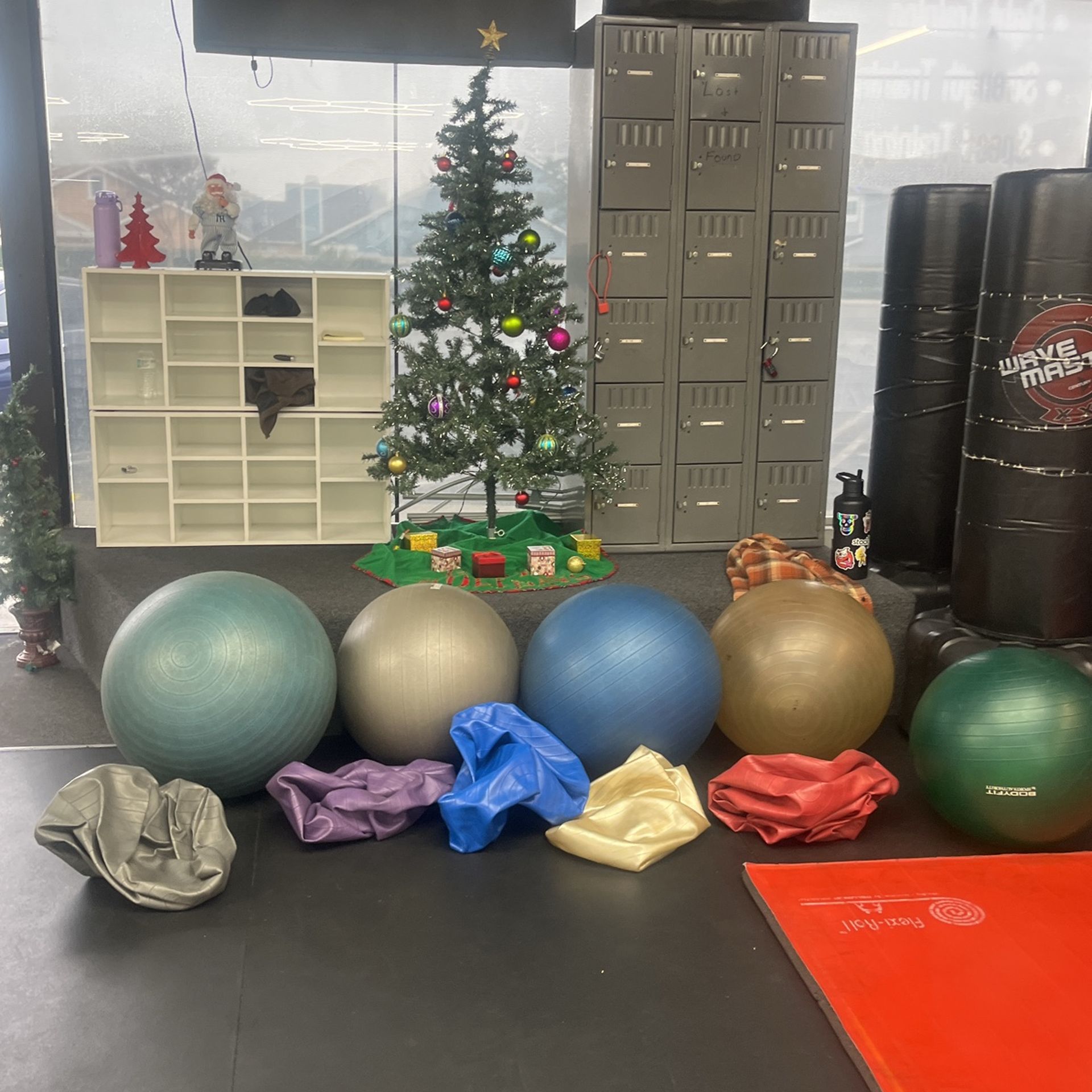 Yoga Exercise Balls