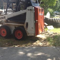 Bobcat 