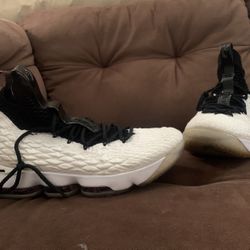 LeBron 15”s