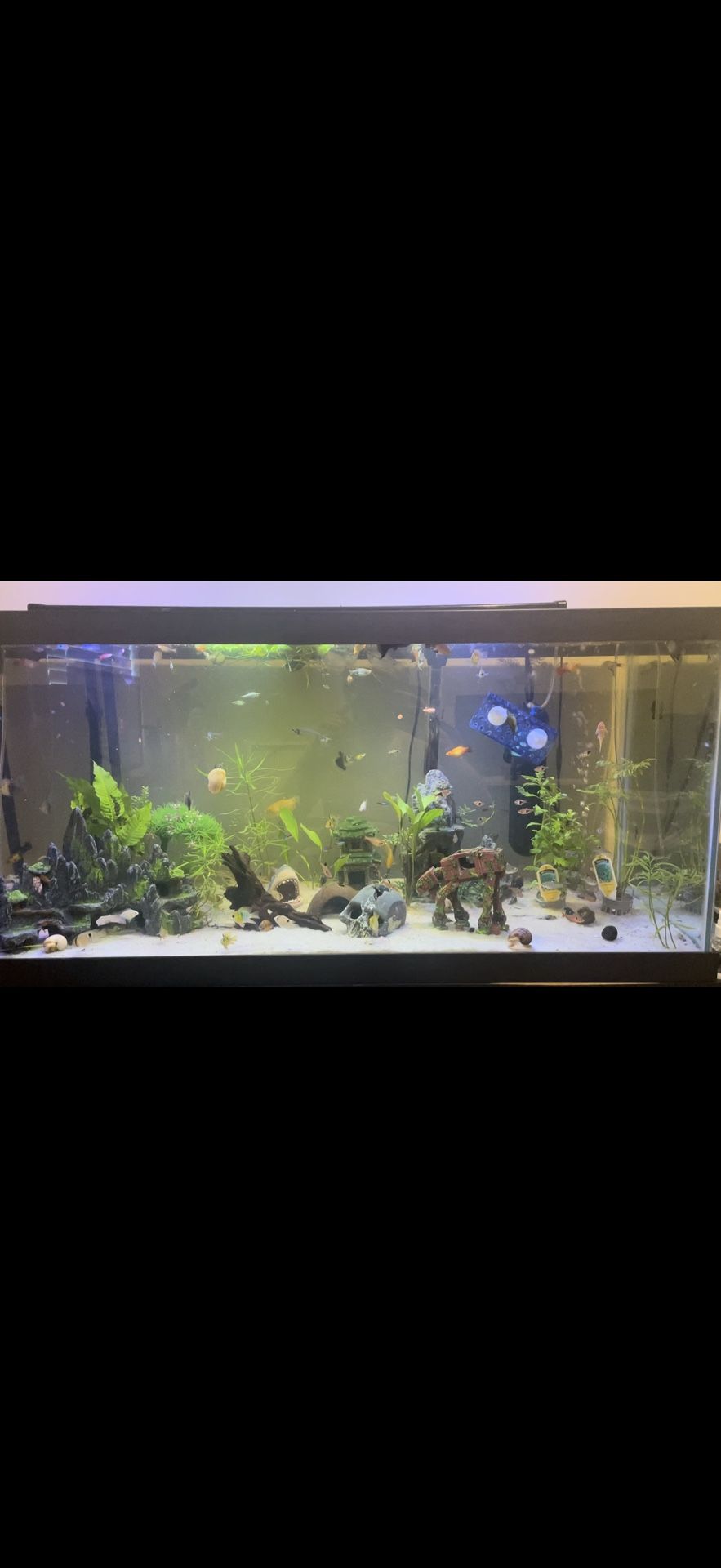 75 Gallon Fish Tank+Filter+Stand+Accessories
