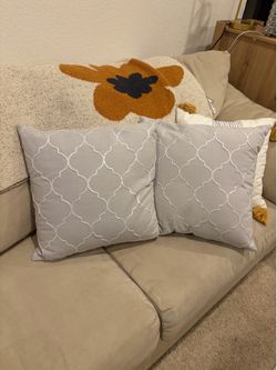 New Grey Pillows
