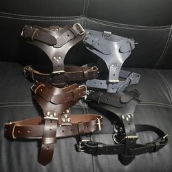 Dog Harness