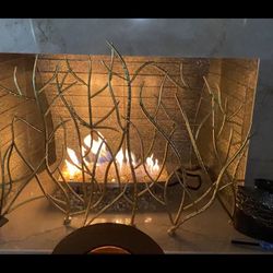 Exquisitely Beautiful Fireplace Cover. 