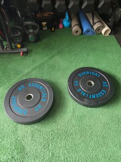 45lb pair bumoer plates