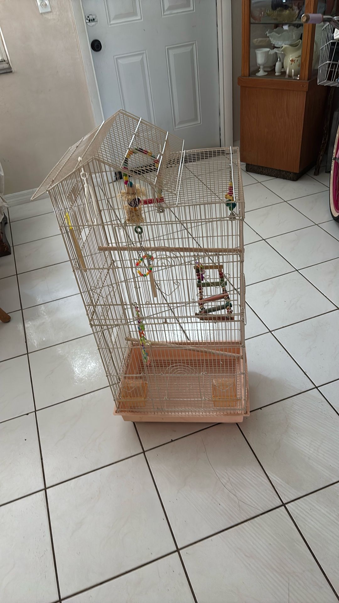 very Large Parakeet, Multiple Parakeet cage