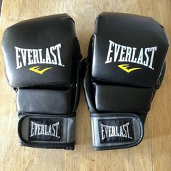 Brand New Everlast 12 oz. Sparring Gloves - Black