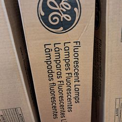 Flourescent light bulbs