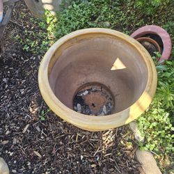 Free Lights And Big Pot 