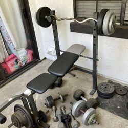 Complete Weight Set With Adjustable Bench 