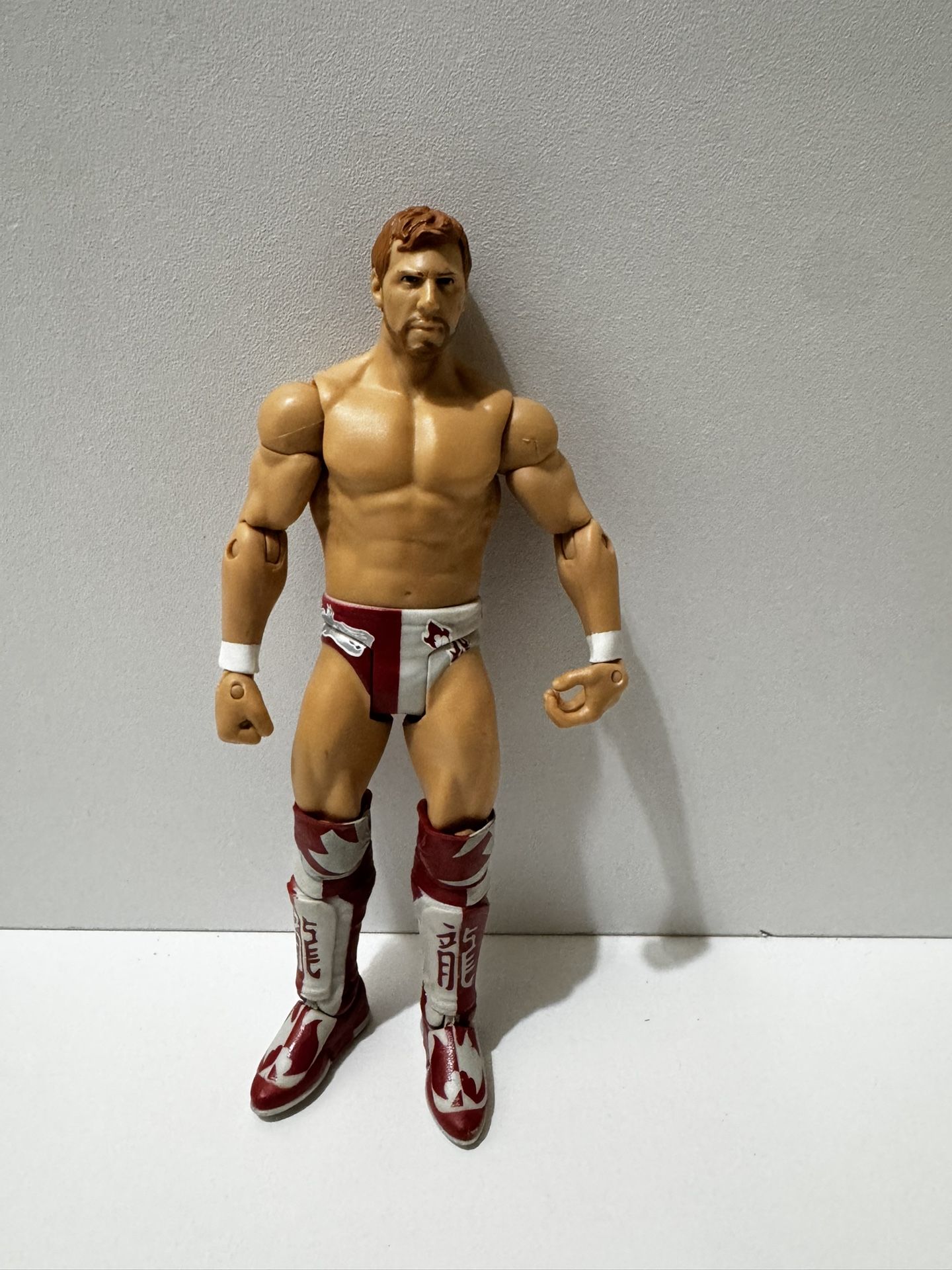 WWE Daniel Bryan