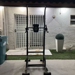 pull-up and dip station