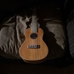 Ukulele 