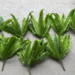 Plastic ferns